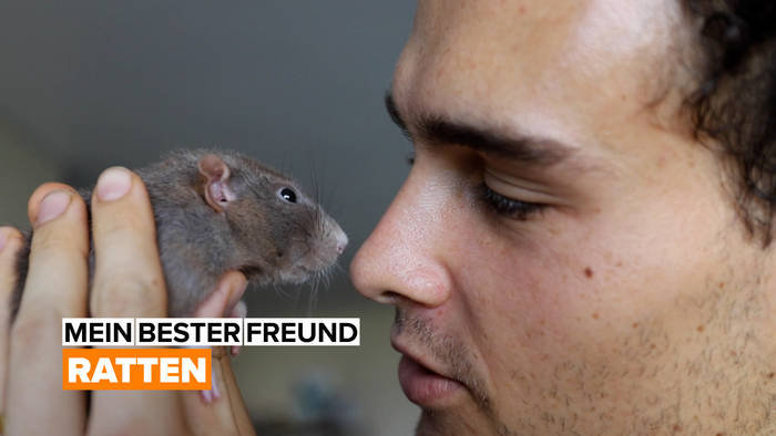 Video: Mein bester Freund: Ratten