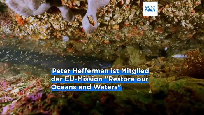 Video: Meeresforscher: 