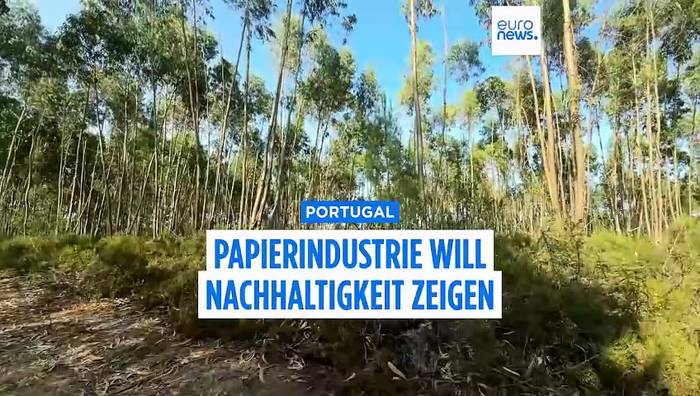 News video: Eukalyptus Bäume in Portugal: Die grüne Plastik-Alternative oder brandgefährlich?