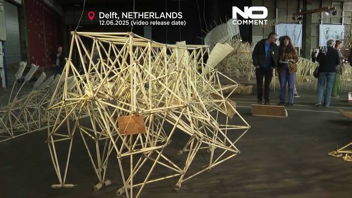 News video: Windbetriebene Strandtiere aus den Niederlanden in Delft ausgestellt