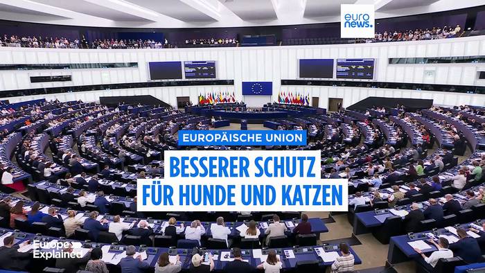 News video: EU plant Mikrochip-Pflicht für alle Katzen und Hunde