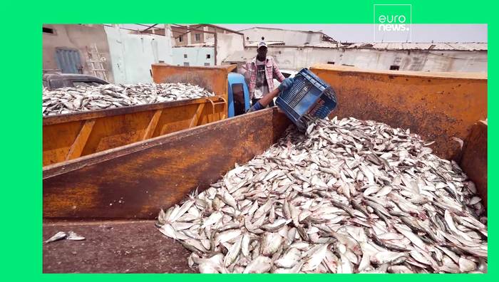 Video: Das Fischereiabkommen zwischen der EU und Mauretanien erklärt