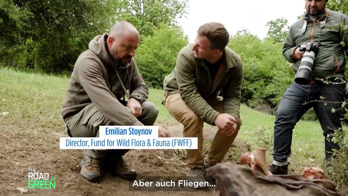 News video: Die Rückkehr der bulgarischen Geier: Europas neues Kapitel nach der Vogelbejagung