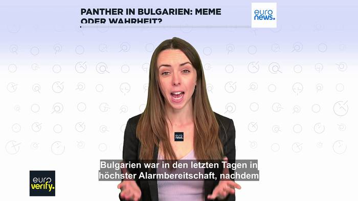 News video: Entlaufener Panther in Bulgarien: Meme oder Wahrheit?