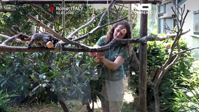 Video: Roms Zoo kühlt Tiere mit Eisleckereien während Hitzewelle in Italien