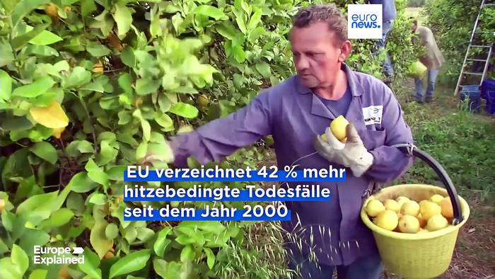 Video: Hitzebedingte Todesfälle am Arbeitsplatz in der EU steigen um 42 %