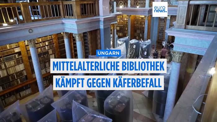 Video: Ungarn: Käfer fressen Teile von mittelalterlicher Bibliothek auf