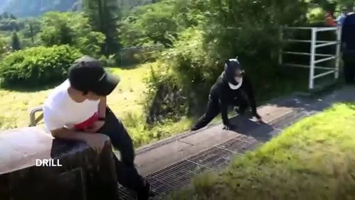 News video: Japan verstärkt Sicherheitsmaßnahmen nach jüngsten Bärenangriffen