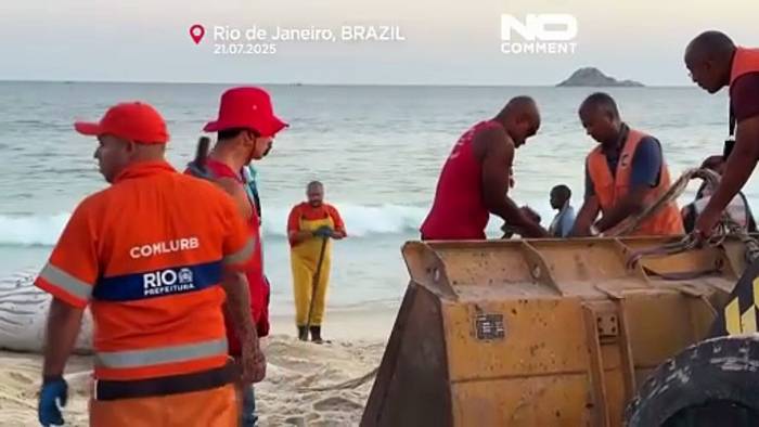 Video: Toter Buckelwal an Küste von Rio de Janeiro angespült