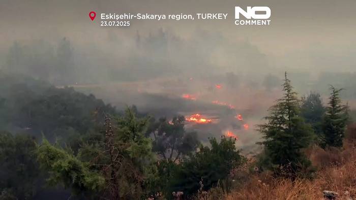 Video: Windeinschlag fesselt Feuerwehrleute im tödlichen Waldbrand in der Türkei