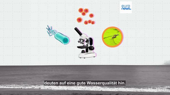 Video: Wo sind die saubersten Badeorte in Europa?