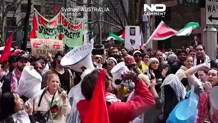 Video: Tausende marschieren bei pro-palästinensischer Kundgebung über die Sydney Harbour Bridge