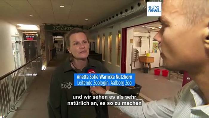 News video: Dänischer Zoo bittet um Kleintierspenden zur Fütterung seiner Raubtiere
