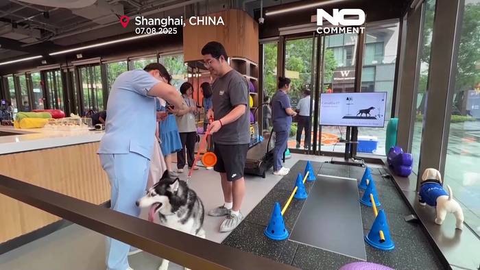 News video: Shanghai eröffnet Chinas erstes Fitnesszentrum für Hunde