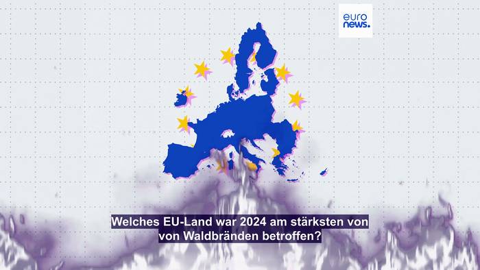 Video: Welches EU-Land war 2024 am stärksten von Waldbränden betroffen?