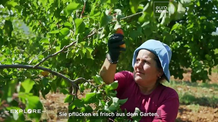 News video: Erleben Sie Öko-Luxus in Bodrum: Golfresorts, Gulet-Yoga-Kreuzfahrten und Unterwasserabenteuer