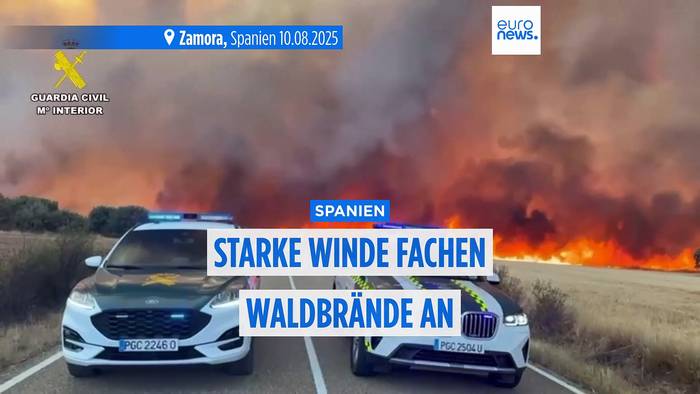News video: Heiße Winde fachen die Waldbrände in Spanien weiter an: Auch landwirtschaftliche Flächen verbrennen