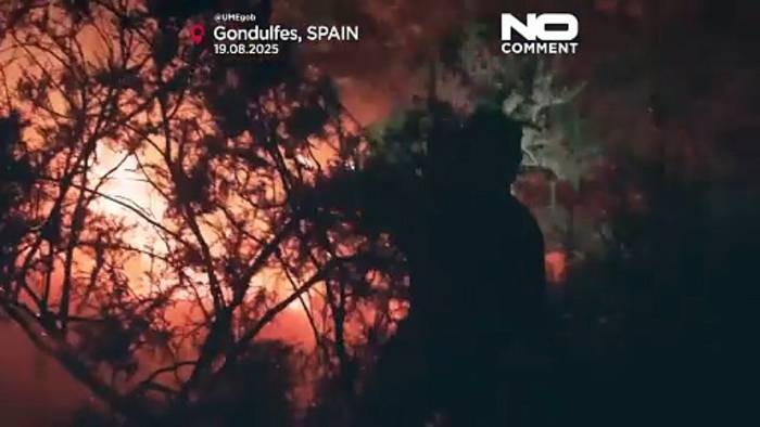 News video: Schlimmste Waldbrandsaison seit Jahrzehnten in Spanien: Über 340.000 Hektar verbrannt