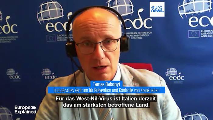 Video: 