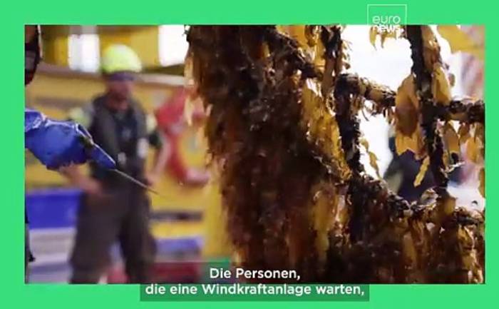 News video: Geteilter Meeresraum: Kann Mehrfachnutzung die Lösung im Wettlauf um Offshore-Flächen sein?
