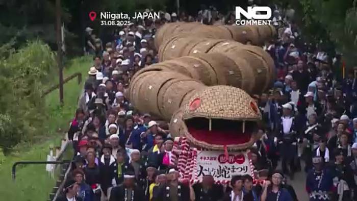 News video: Riesige Bambusschlange zieht durch japanisches Dorf