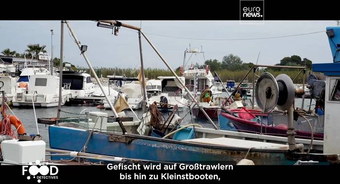 Video: Können wir Fischbetrug bekämpfen? Sehen Sie sich Folge 1 von The Food Detectives an