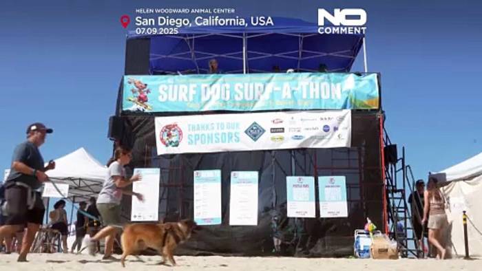 News video: Hunde reiten die Wellen beim Surf-Wettbewerb in San Diego