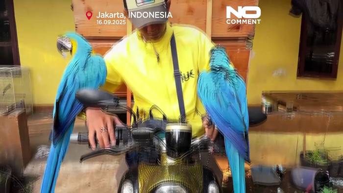 Video: Motorradmechaniker trainiert jetzt Aras in Jakarta