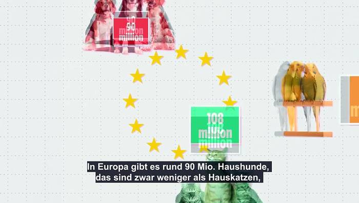 News video: Hunde als Haustiere: Wo in der EU ist der beste Freund des Menschen am beliebtesten?