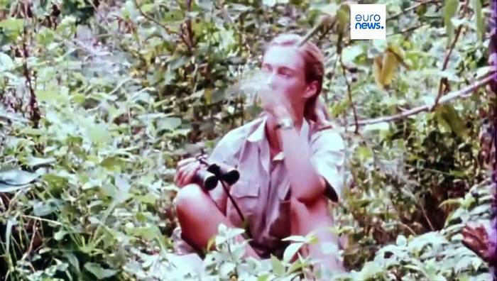 News video: Jane Goodall (91), berühmte Primatologin und Aktivistin, ist tot