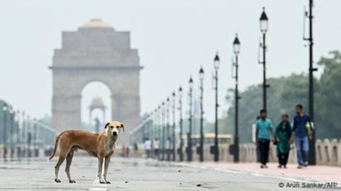 News video: Indiens Problem mit Straßenhunden