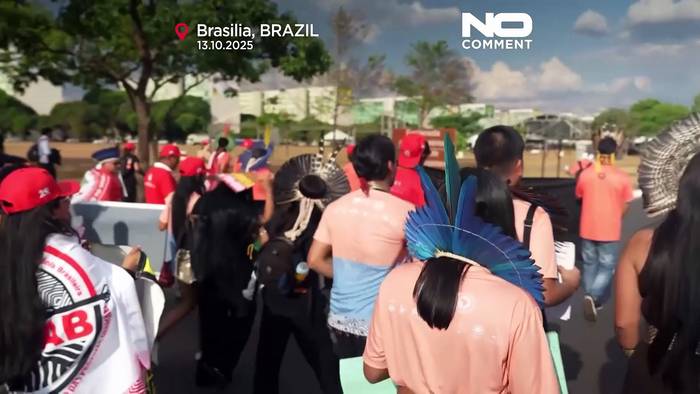 Video: Hunderte indigene Demonstranten fordern Landanerkennung in Brasiliens Hauptstadt