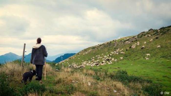 News video: Schafe statt Stress – die Vorteile des Lebens als Schäferin