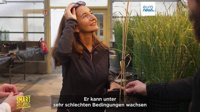 News video: Der Klimawandel macht den Haferanbau in Nordeuropa möglich