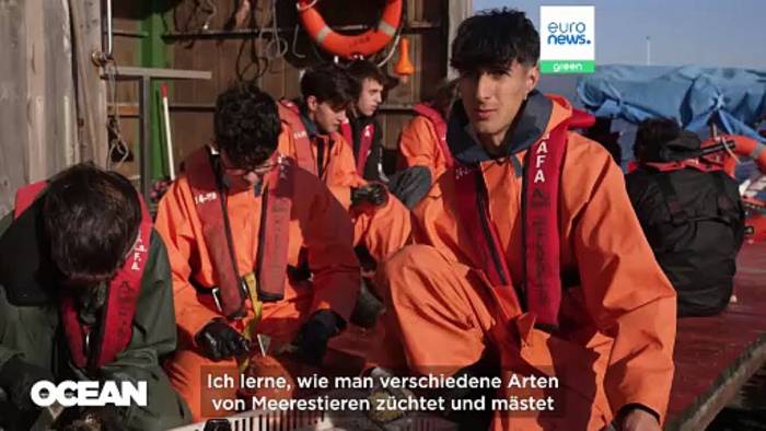 Video: Von spanischen Muschelfarmen zur EU-Politik: Wie Daten Europas blaue Wirtschaft antreiben