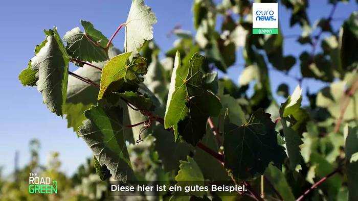 Video: Können die europäischen Landwirte den Wasserkreislauf retten?