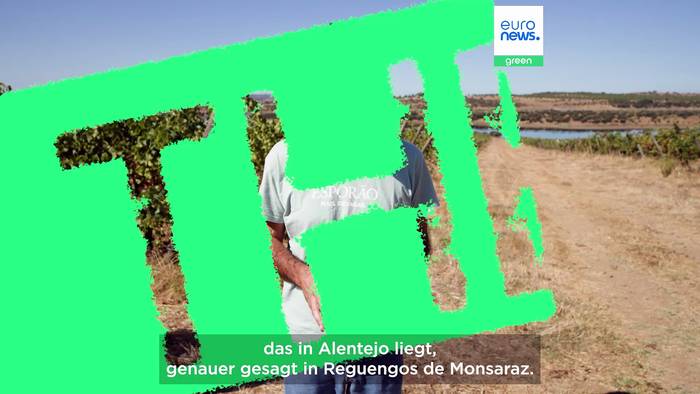 Video: Wassereffiziente Landwirtschaft: 5 Tipps, um Wasser zu sparen (und wie die EU helfen kann)