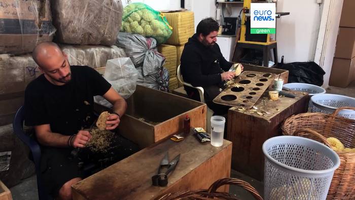 News video: Seit Generationen: Die Bade-Schwämme von der Insel Kalymnos sind möglicherweise auch in Ihrem Bad