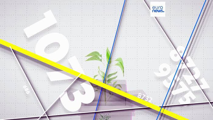 News video: Ökolabels: Welche EU-Länder sind führend bei nachhaltigen Waren?