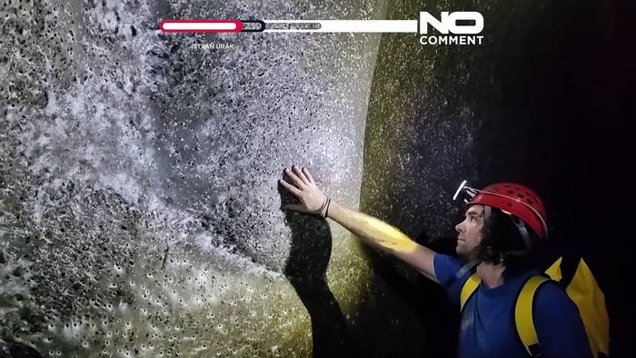 News video: Forscher entdecken Riesenspinne „Megacity“ in Höhle an der albanisch-griechischen Grenze