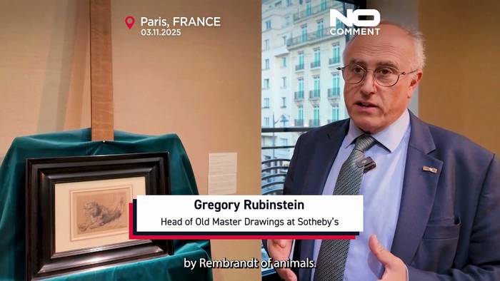 News video: Seltene, 400 Jahre alte Löwenzeichnung von Rembrandt kommt unter den Hammer