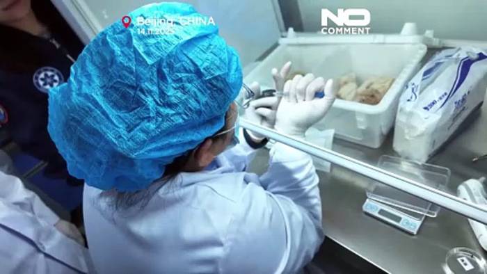 News video: Chinas Raumstation bringt vier Mäuse zur Erde zurück