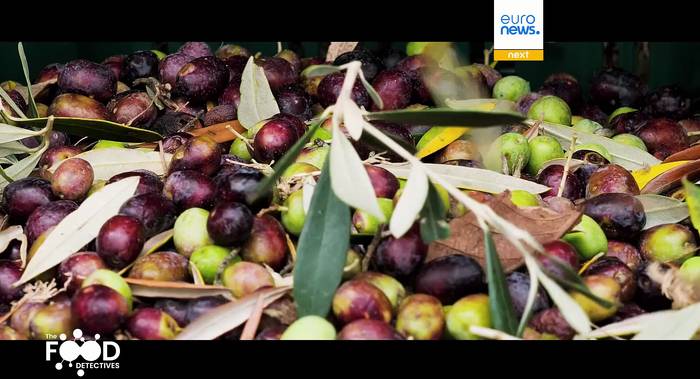 News video: The Food Detectives: ein tragbares DNA-Testkit, um gefälschtes Olivenöl zu entlarven