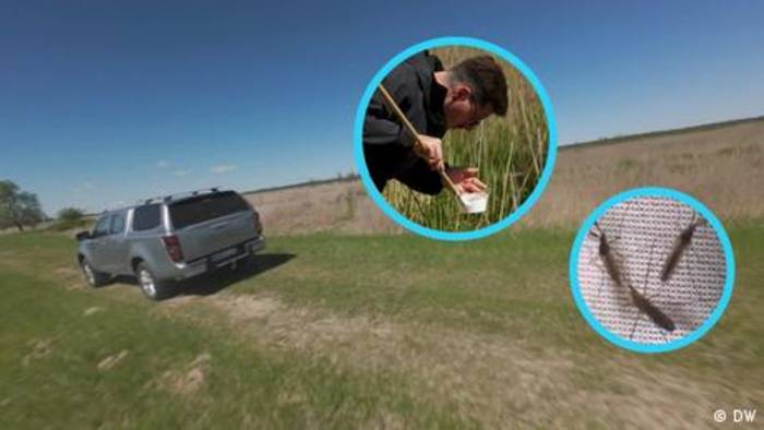 News video: Mückenjagd im Moor: Wie sich neue Krankheiten ausbreiten könnten