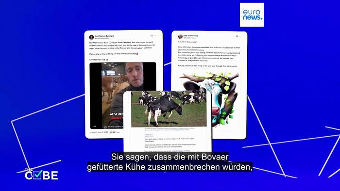 News video: Sterben Kühe in Dänemark wegen Bovaer-Zusatzstoff?