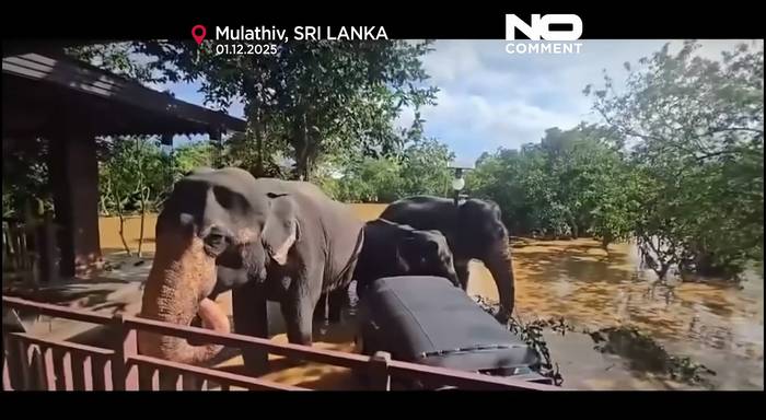News video: Sri Lanka: Luftaufnahmen zeigen Ausmaß der Überschwemmungen, über 365 Tote und 367 Vermisste