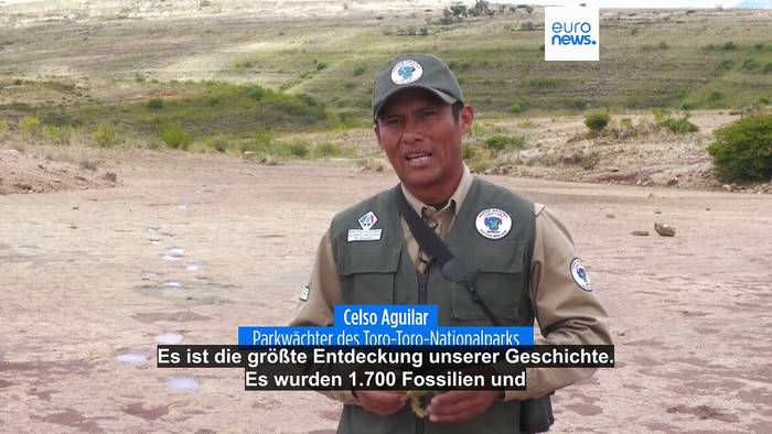 News video: Mega-Dino-Fund: Forscher entdecken gigantisches Fossilien-Netzwerk