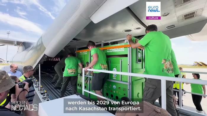 Video: Kasachstan bringt seine vom Aussterben bedrohten Przewalski-Pferde zurück