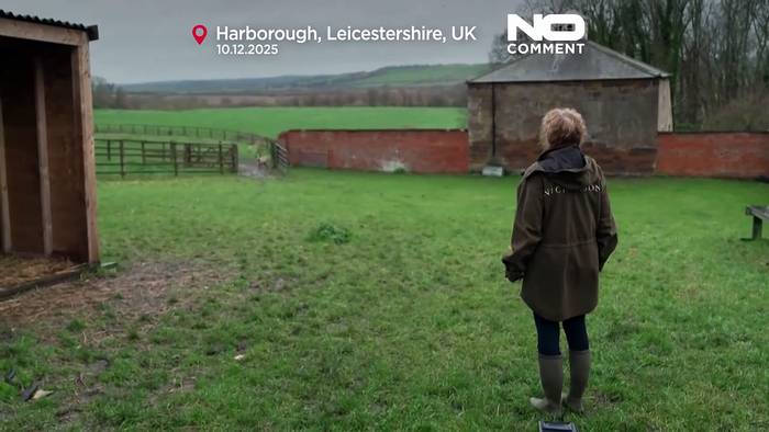 News video: Rentier Lars aus britischer Handaufzucht stößt zur Herde und macht sich für Weihnachten bereit