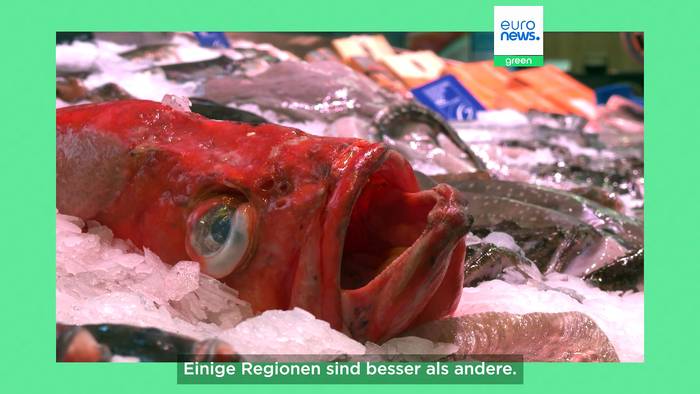 News video: Interview: Wie können nachhaltige Fische und Meeresfrüchte zur einfachen Wahl werden?